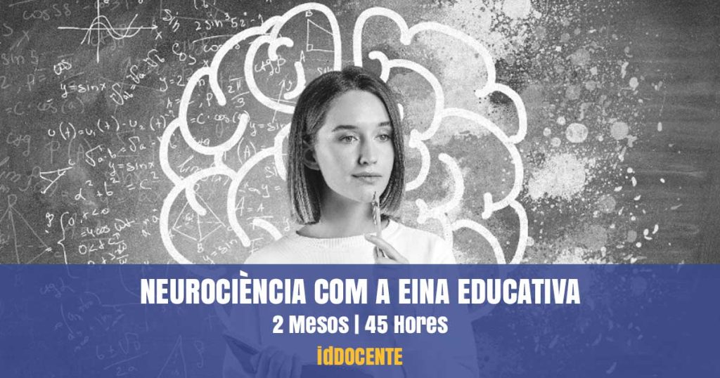 curs neurociència educació
