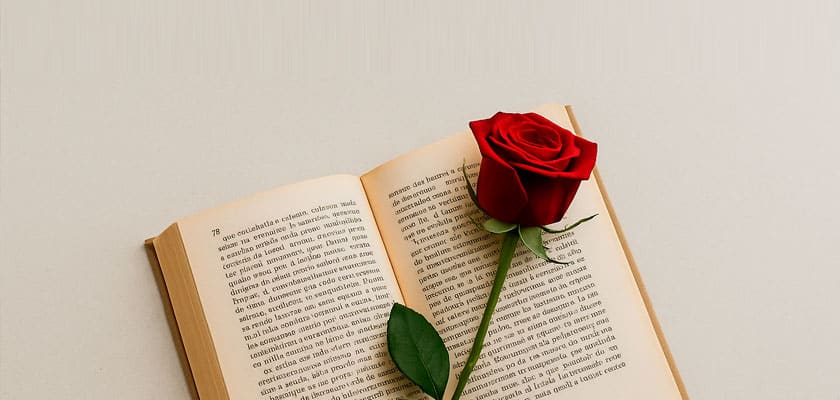 ideas sant jordi