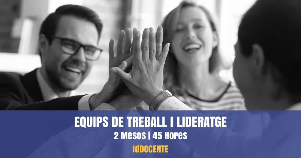 curs equios treball lideratge